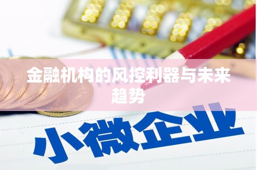 登封金融机构的风控利器与未来趋势