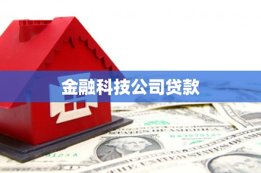登封金融科技公司贷款