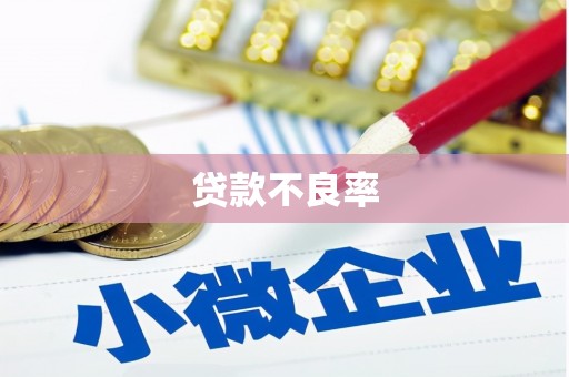 登封贷款不良率