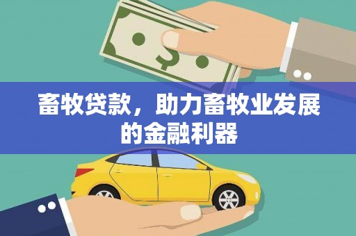 登封畜牧贷款，助力畜牧业发展的金融利器