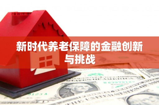 登封新时代养老保障的金融创新与挑战