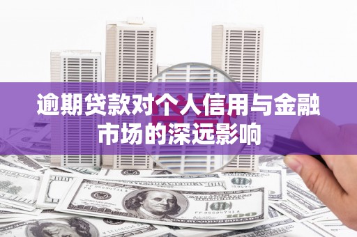登封逾期贷款对个人信用与金融市场的深远影响