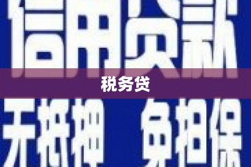 登封税务贷