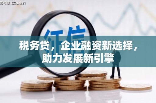 登封税务贷，企业融资新选择，助力发展新引擎