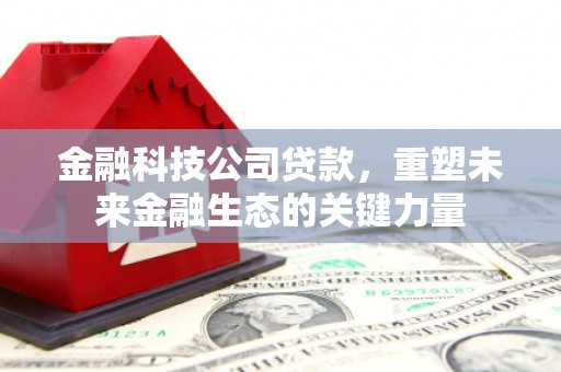 登封金融科技公司贷款，重塑未来金融生态的关键力量