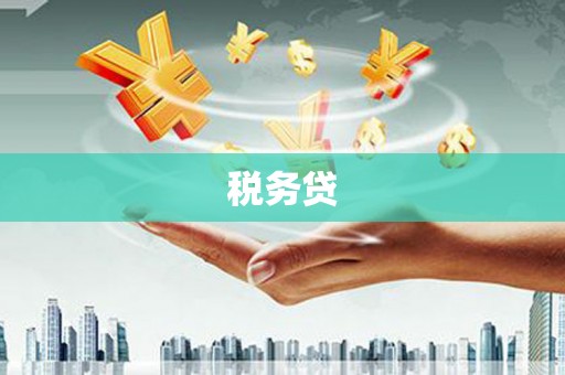 登封税务贷