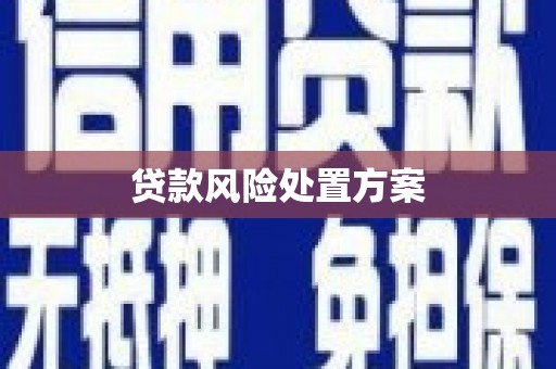 登封贷款风险处置方案