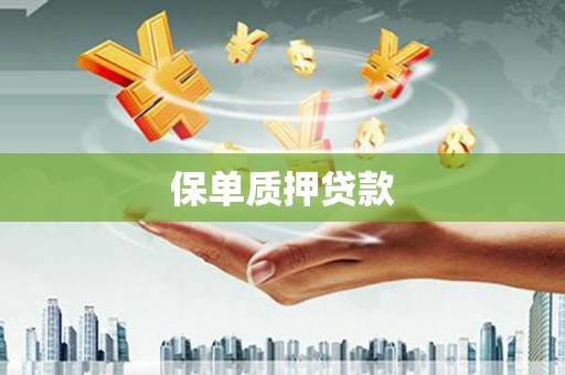 登封保单质押贷款
