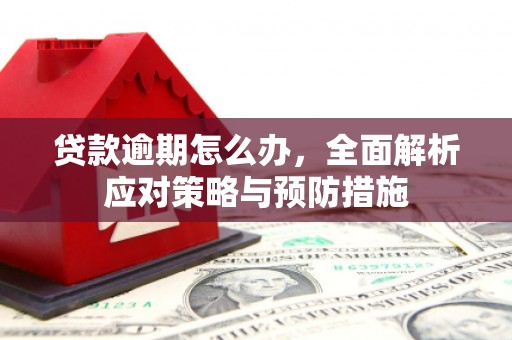 登封贷款逾期怎么办，全面解析应对策略与预防措施