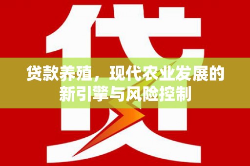 登封贷款养殖，现代农业发展的新引擎与风险控制