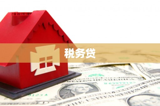 登封税务贷