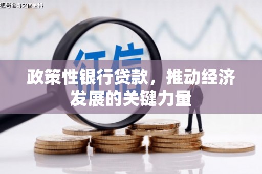 登封政策性银行贷款，推动经济发展的关键力量