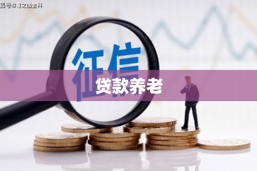 登封贷款养老