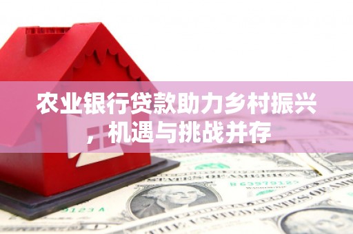 登封农业银行贷款助力乡村振兴，机遇与挑战并存