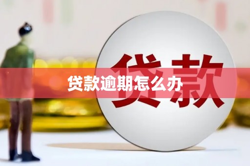 登封贷款逾期怎么办