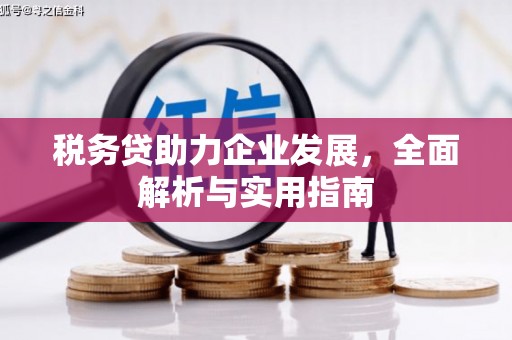 登封税务贷助力企业发展，全面解析与实用指南