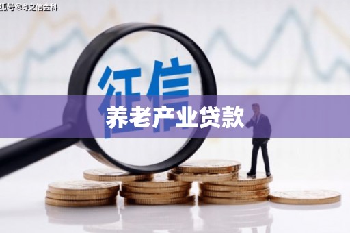 登封养老产业贷款