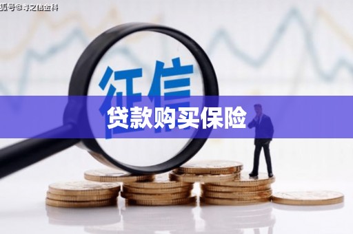 登封贷款购买保险