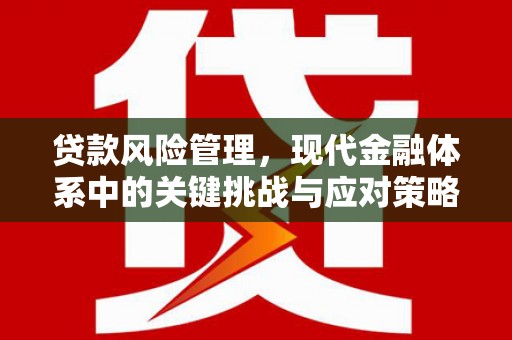 登封贷款风险管理，现代金融体系中的关键挑战与应对策略