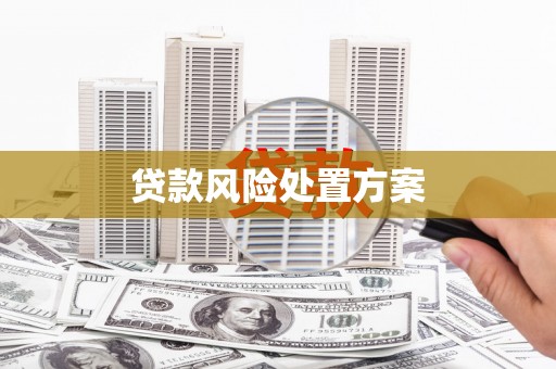 登封贷款风险处置方案