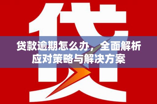 登封贷款逾期怎么办，全面解析应对策略与解决方案