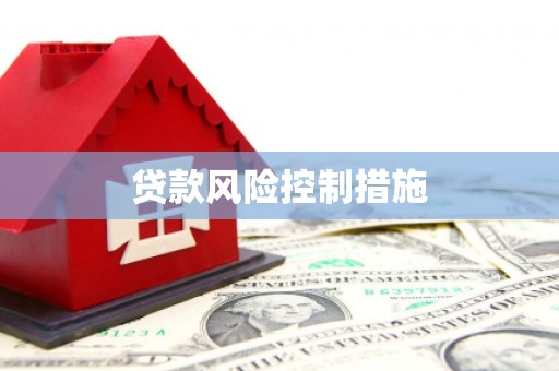 登封贷款风险控制措施